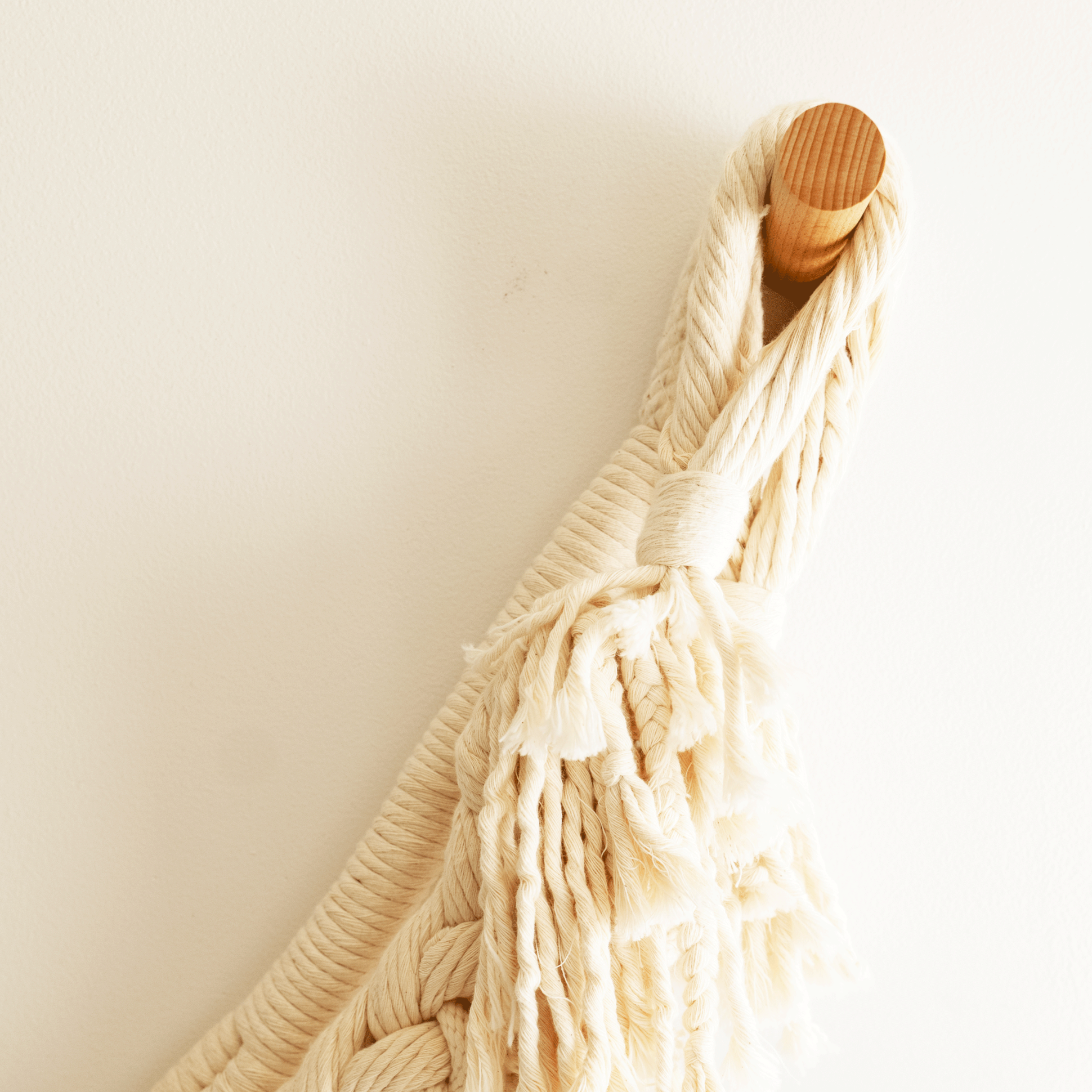 The Tendrils Wall hanging detailing its wall mount